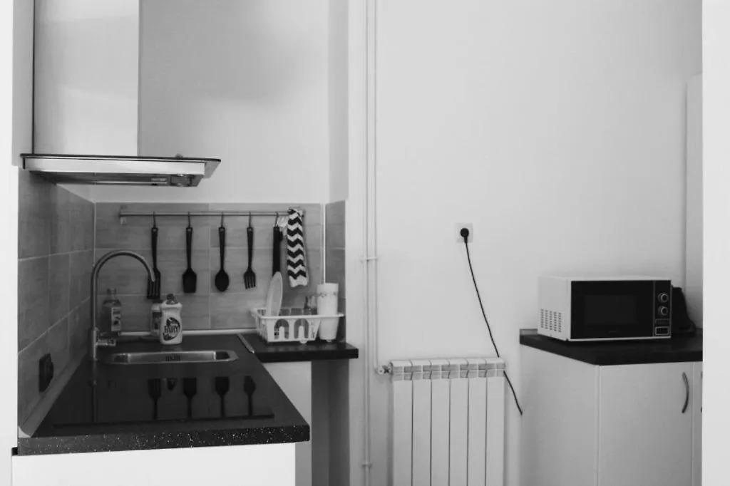 Central Cismigiu Apartment Boekarest